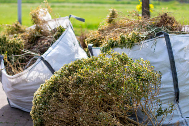 Professional Junk Removal in Walters, OK